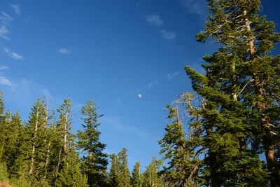 DSC_0078 (Large).JPG